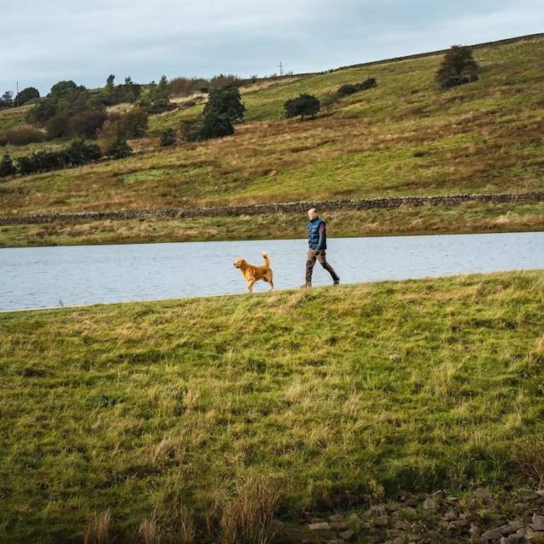 Gassi Service Bremen Logo für "Hunde Service Bremen" mit einem fröhlichen Hund und Stadtansichten.